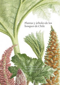 Plantas y árboles de los bosques de Chile - 
