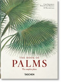 El libro de las palmeras - 