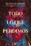 Todo lo que perdimos