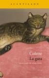 La gata