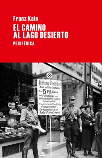 El camino al lago Desierto - 
