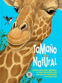 Tamaño natural - 