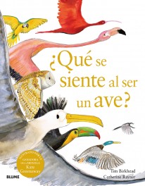 ¿Qué se siente al ser un ave? - 