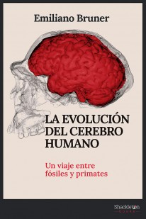 La evolución del cerebro humano - 