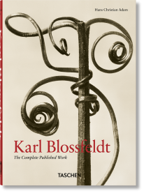 Karl Blossfeldt - 