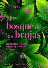 Bosque de las brujas - 