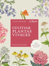 Cultivar plantas vivaces - 