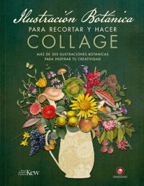 Ilustración botánica para recortar y hacer collage - 