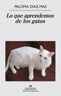 Lo que aprendemos de los gatos - 