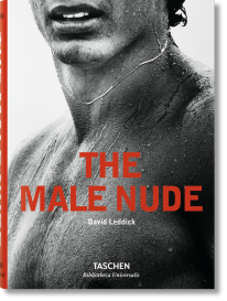 El desnudo masculino - 