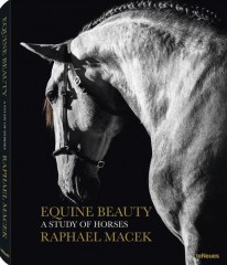 Equine Beauty - 