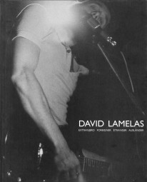 David Lamelas - 