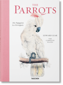 The Parrots - 